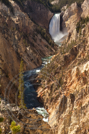 Lower Falls of the Yellowstone P2466bV2.jpg