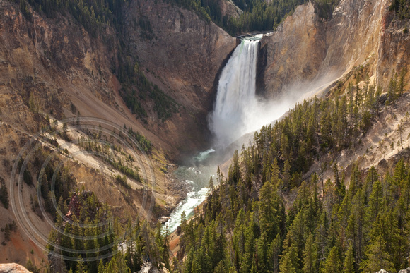 Lower Falls of Yellowstone P2488bH.jpg